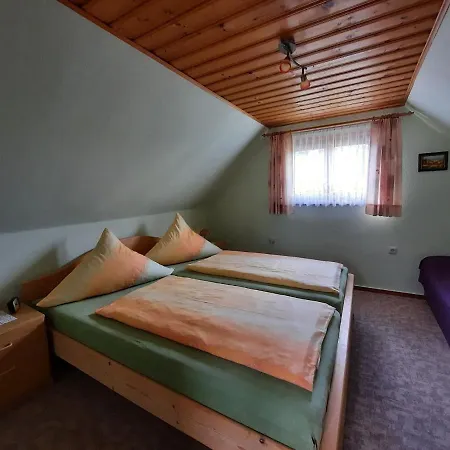 Holiday home Stunning With Terrace In Saxony Bad Elster