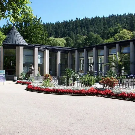 Stunning With Terrace In Saxony Bad Elster