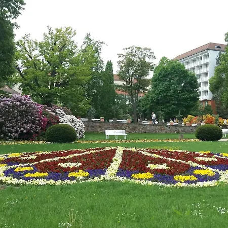 Stunning With Terrace In Saxony Bad Elster